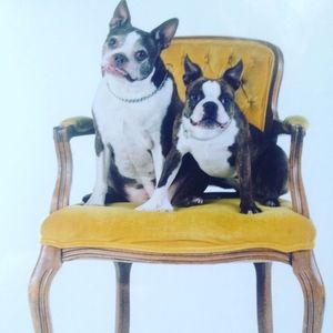 Meet your Posher, Jerry